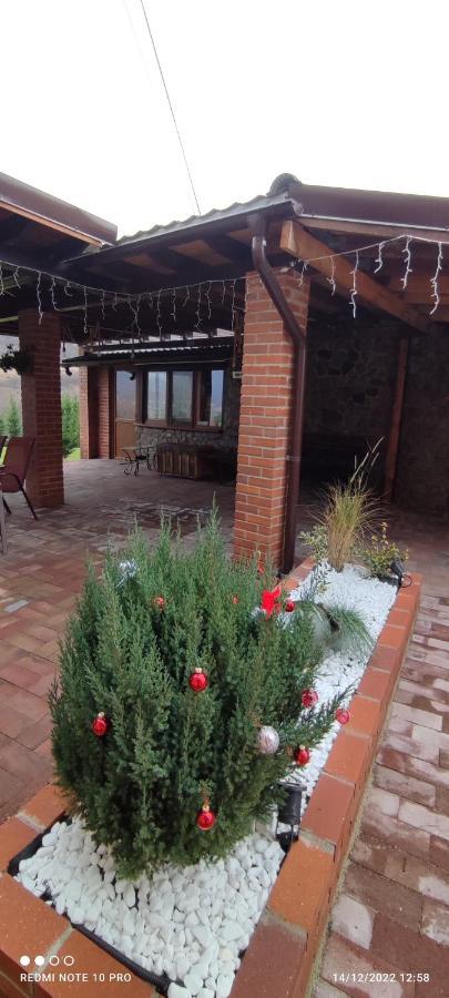 View Cozia Villa Călimăneşti Exterior foto
