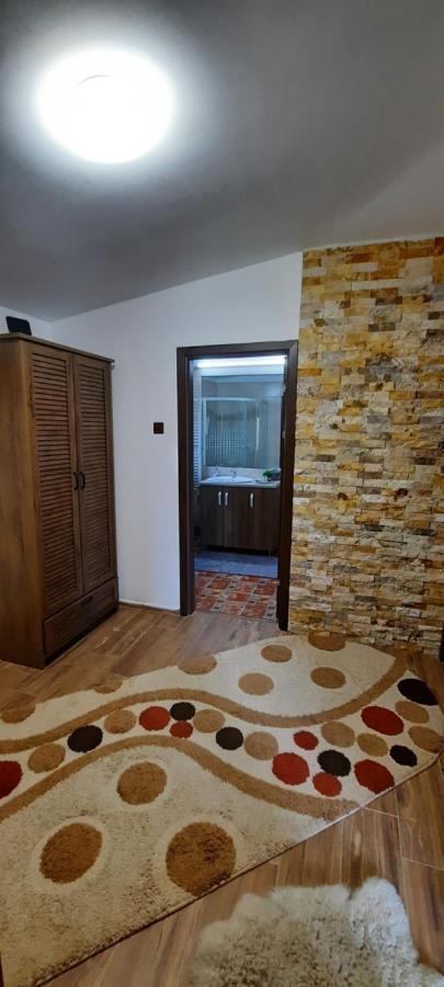 View Cozia Villa Călimăneşti Exterior foto
