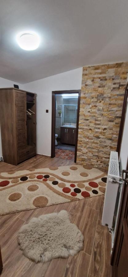 View Cozia Villa Călimăneşti Exterior foto