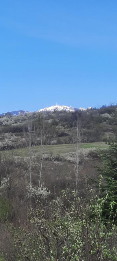 View Cozia Villa Călimăneşti Exterior foto